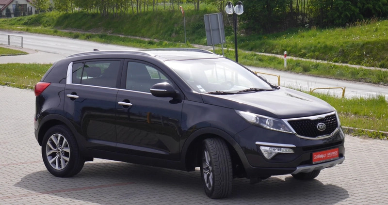 Kia Sportage cena 48900 przebieg: 117000, rok produkcji 2015 z Starachowice małe 781
